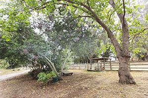 225 Johnson Road Watsonville, CA 95076 - Photo 32 of 37 Gallery Image 32