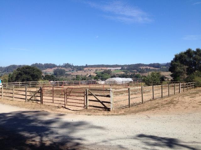 225 Johnson Road Watsonville, CA 95076 - Photo 5 of 37 Gallery Image 5