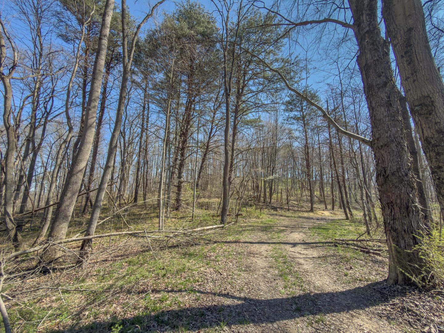 0 Cox Road Logan, OH 43138 - Photo 26 of 50 IMG_1480