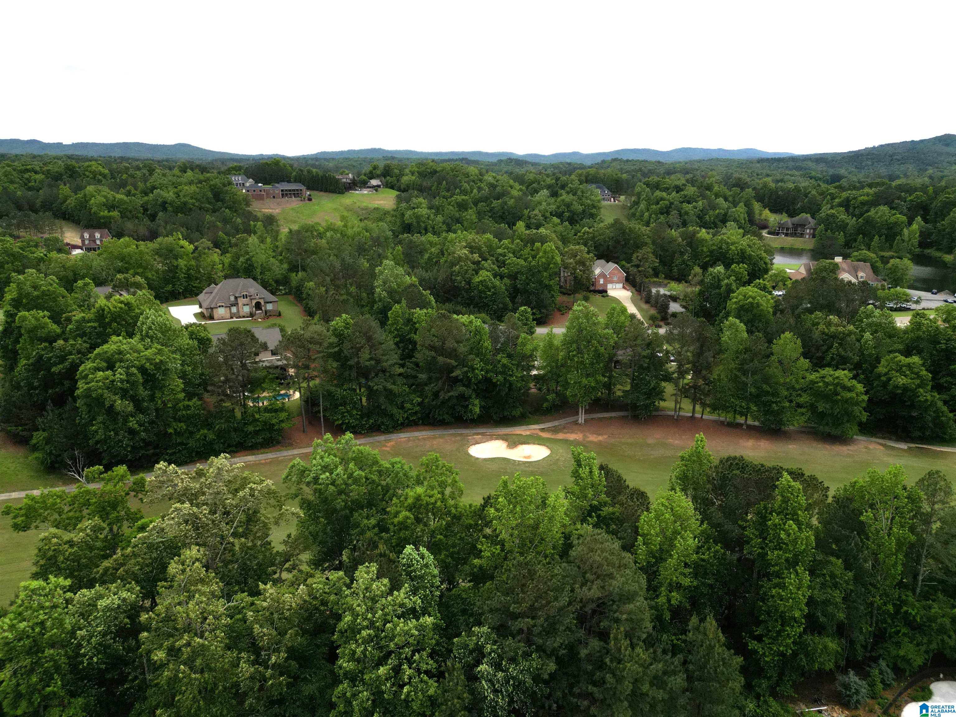 55 Rome Beauty Circle Oxford, AL 36203 - Photo 55 of 65