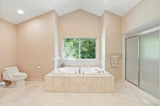 a bathroom with a bathtub and a toilet