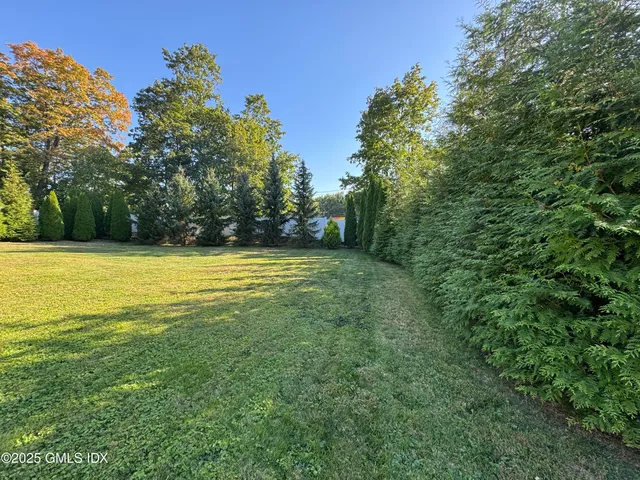 a view of a swimming pool and trees in the background