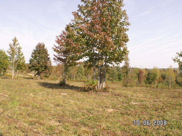 650 Twenty-two Road, Unit 4 Farmville, VA 23901 - Photo 1 of 1 Gallery Image 1
