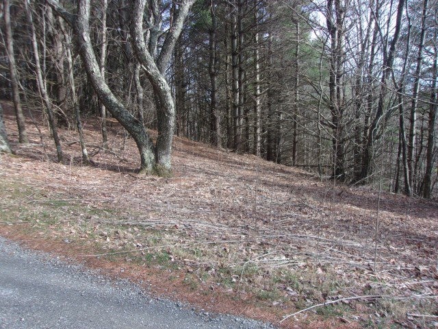Tbd Big Ridge Road, Unit 10 Independence, VA 24348 - Photo 4 of 7 Gallery Image 4