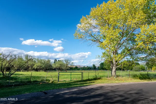 a view of a park with large trees