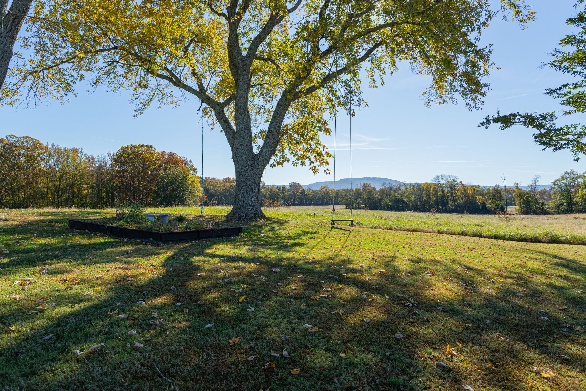 529 Wilder Road Hillsboro, TN 37342 - Photo 29 of 32 Gallery Image 29