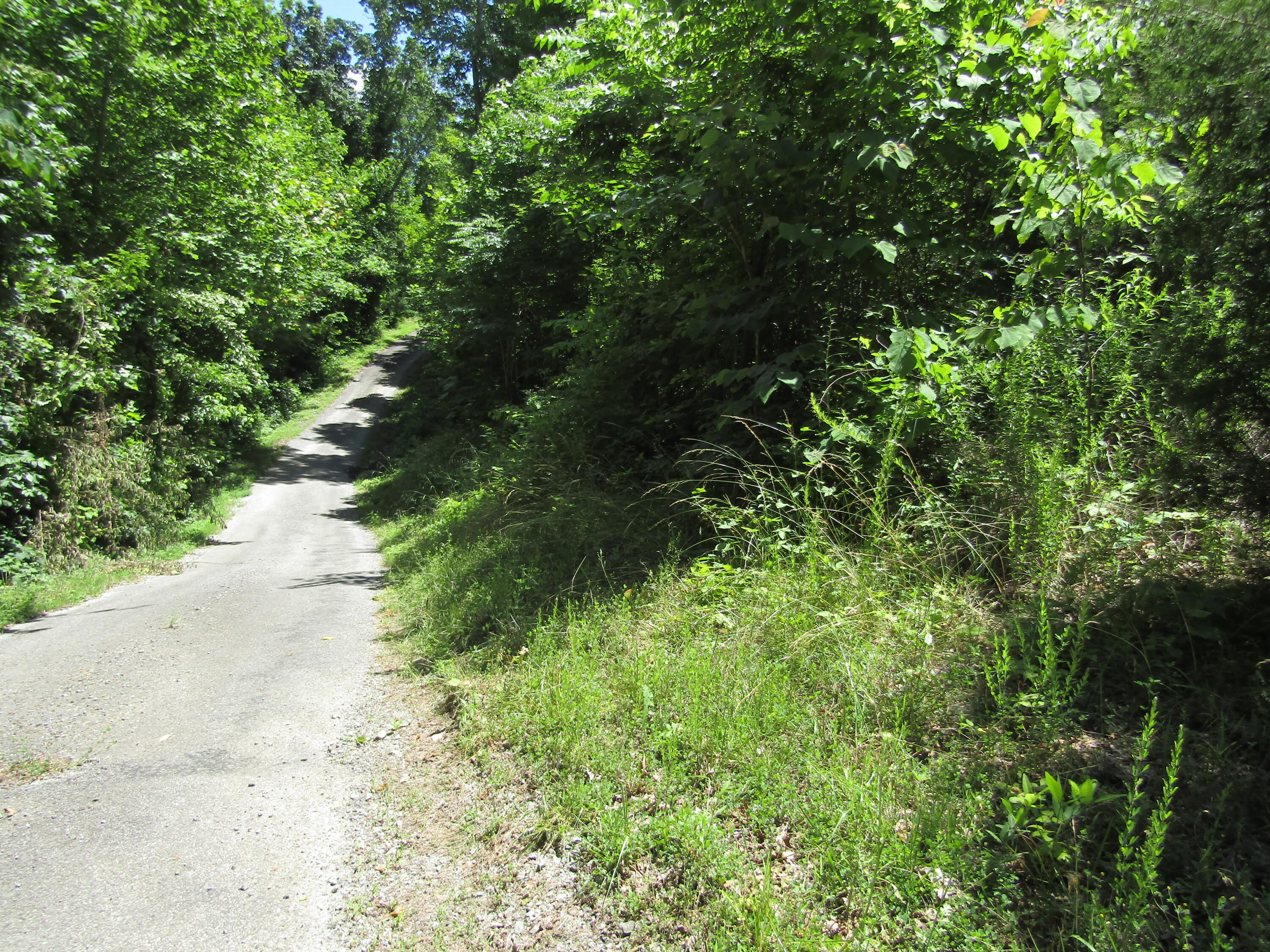 Lot 15 Simple Life Road Hilham, TN 38568 - Photo 1 of 6 IMG_3042