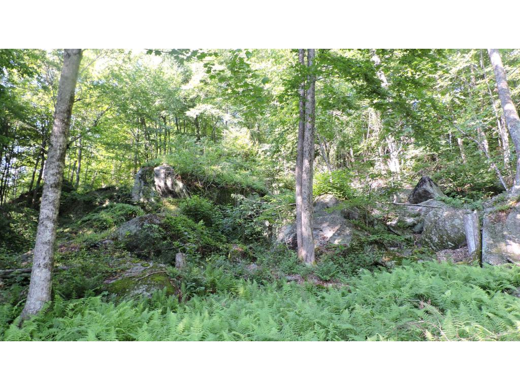 149 Clough Park Road Weare, NH 03281 - Photo 23 of 24 Gallery Image 23