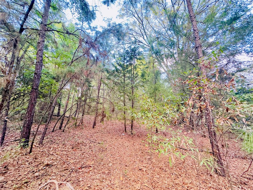 0 Apple Tree Road Gilmer, TX 75644 - Photo 15 of 34 Gallery Image 15