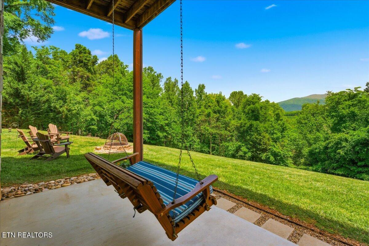 2732 Cayanne Road Cosby, TN 37722 - Photo 41 of 55 Patio