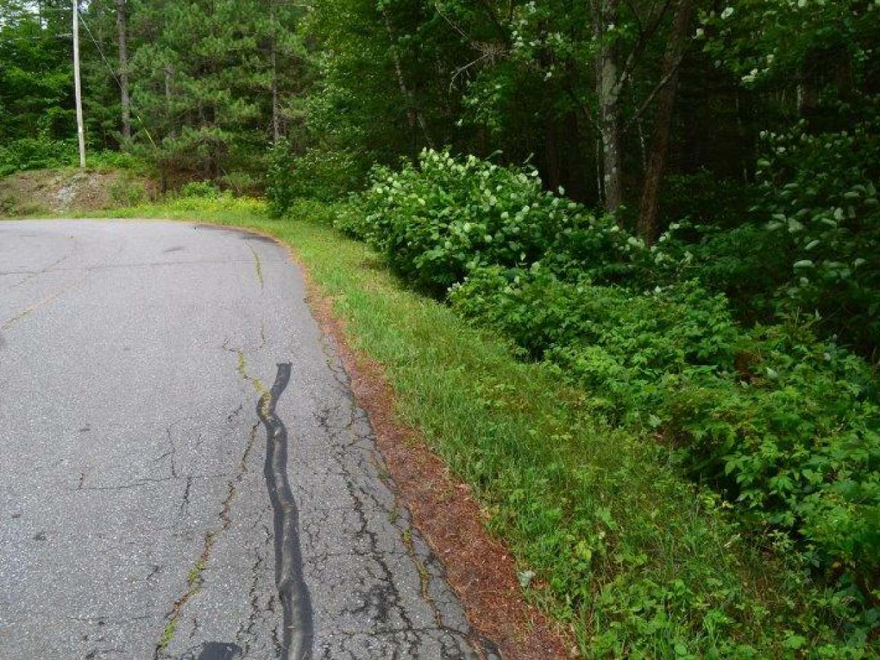 On Buckhorn Lane Rhinelander, WI 54501 - Photo 11 of 11 Gallery Image 11