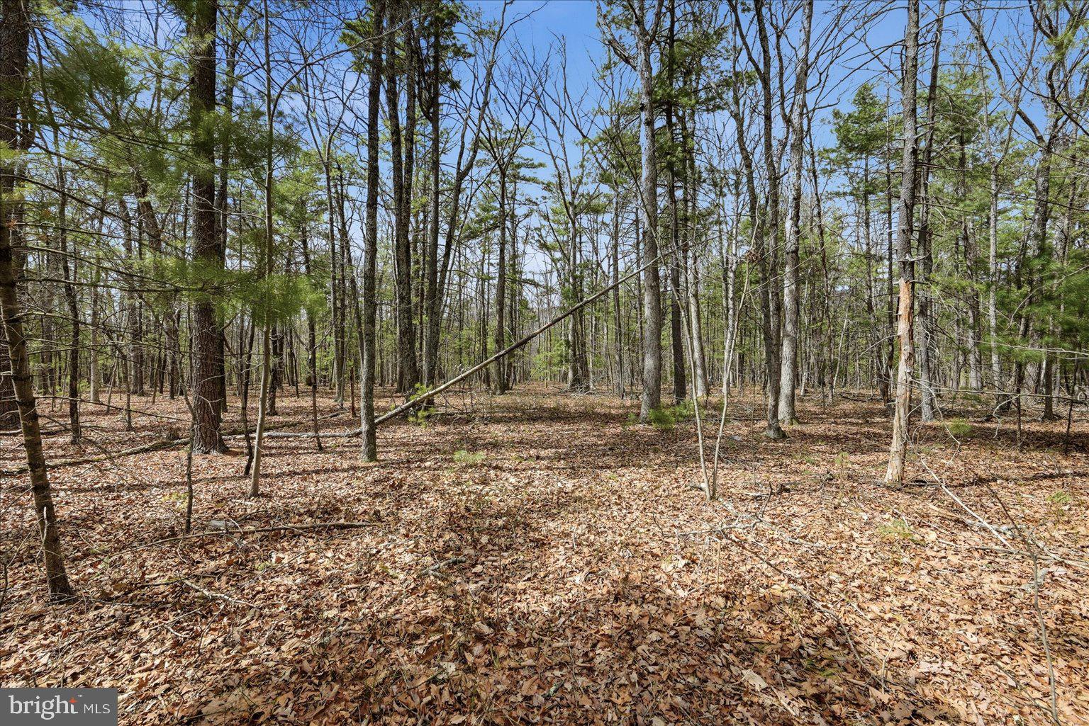 5.35 Ac B- Back Mountain Road, Unit 16 Winchester, VA 22602 - Photo 2 of 7 a backyard of a house with lots of green space