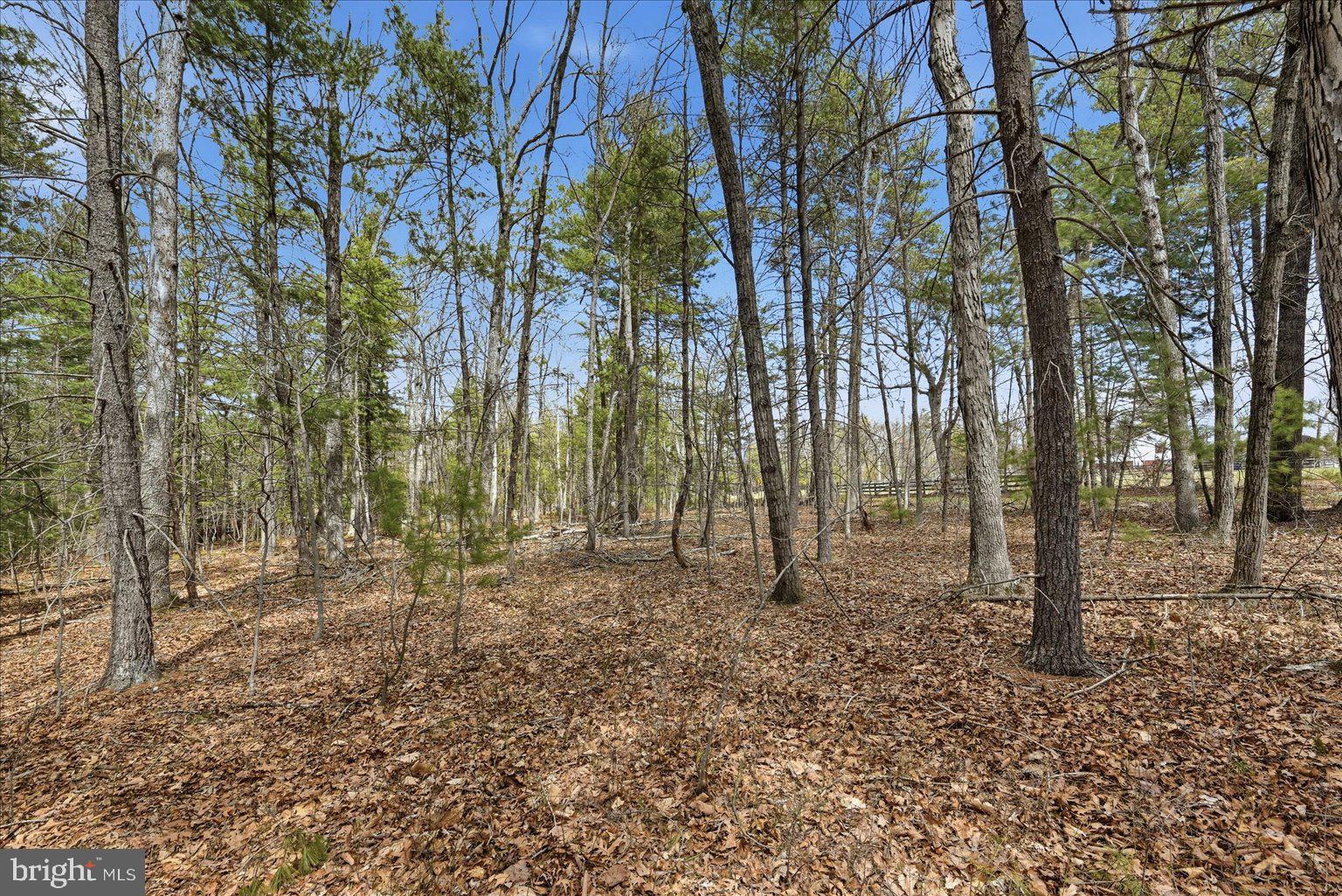 5.35 Ac B- Back Mountain Road, Unit 16 Winchester, VA 22602 - Photo 4 of 7 a backyard of a house with lots of trees