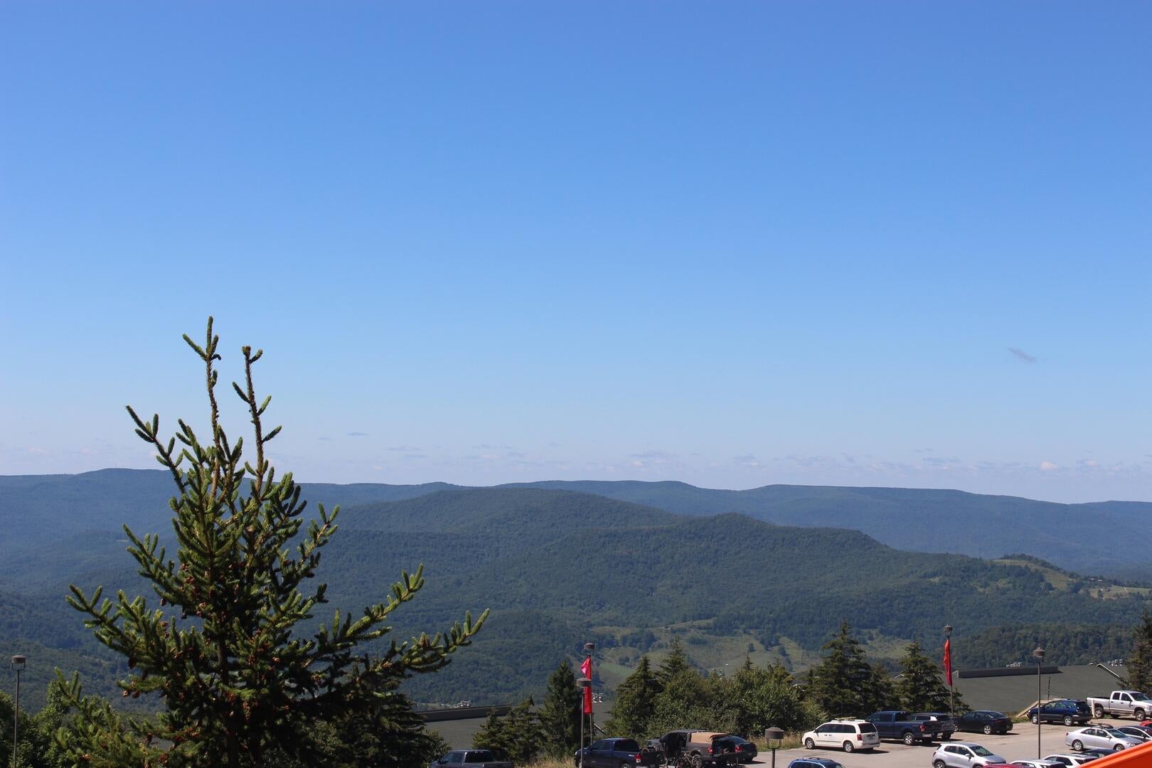 345 Rimfire Lodge Snowshoe, WV 26209 - Photo 17 of 26 Gallery Image 17