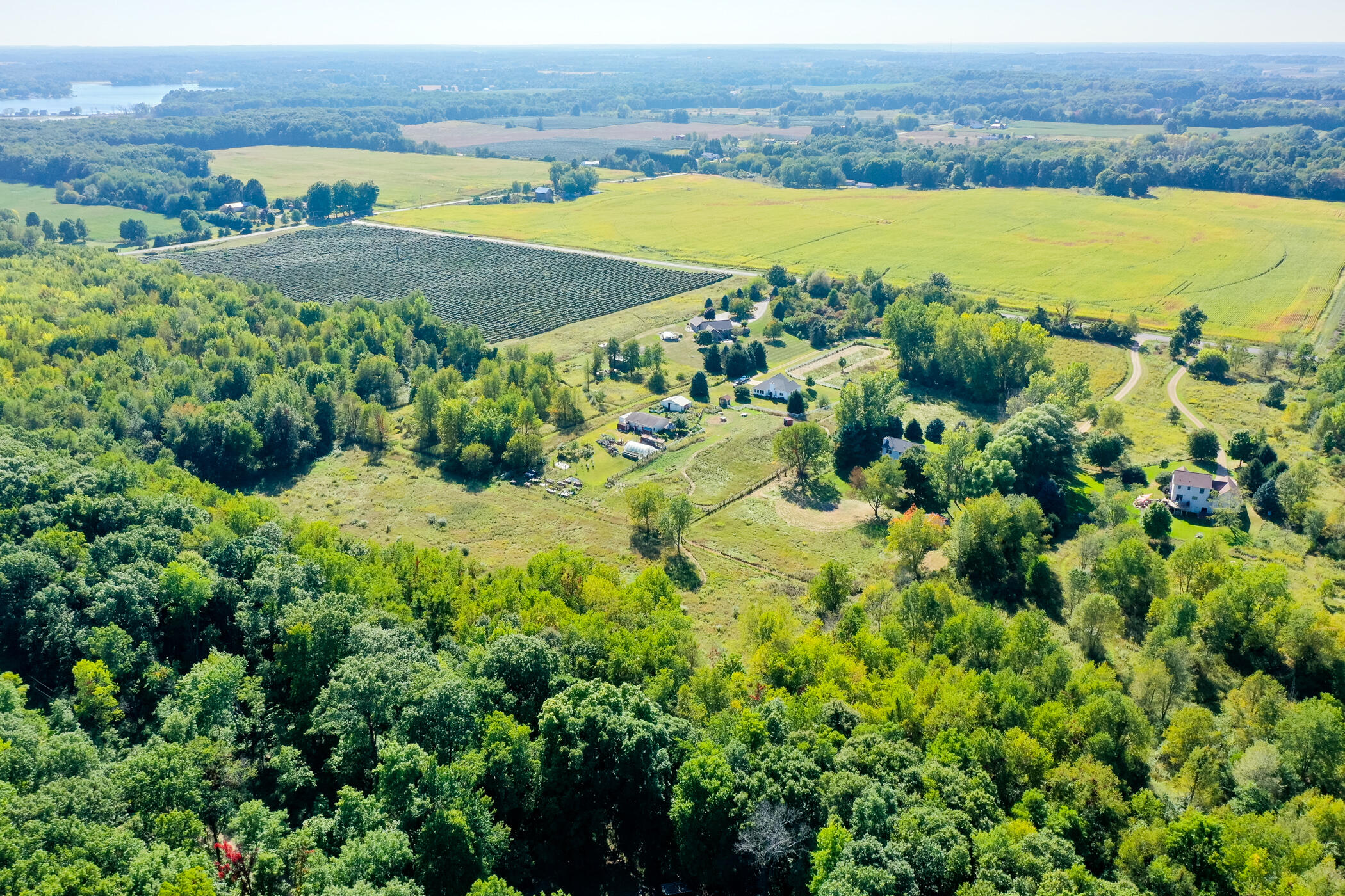 74767 County Road 652 Lawton, MI 49065 - Photo 4 of 65 CR652_74767_Lawton_49065-75