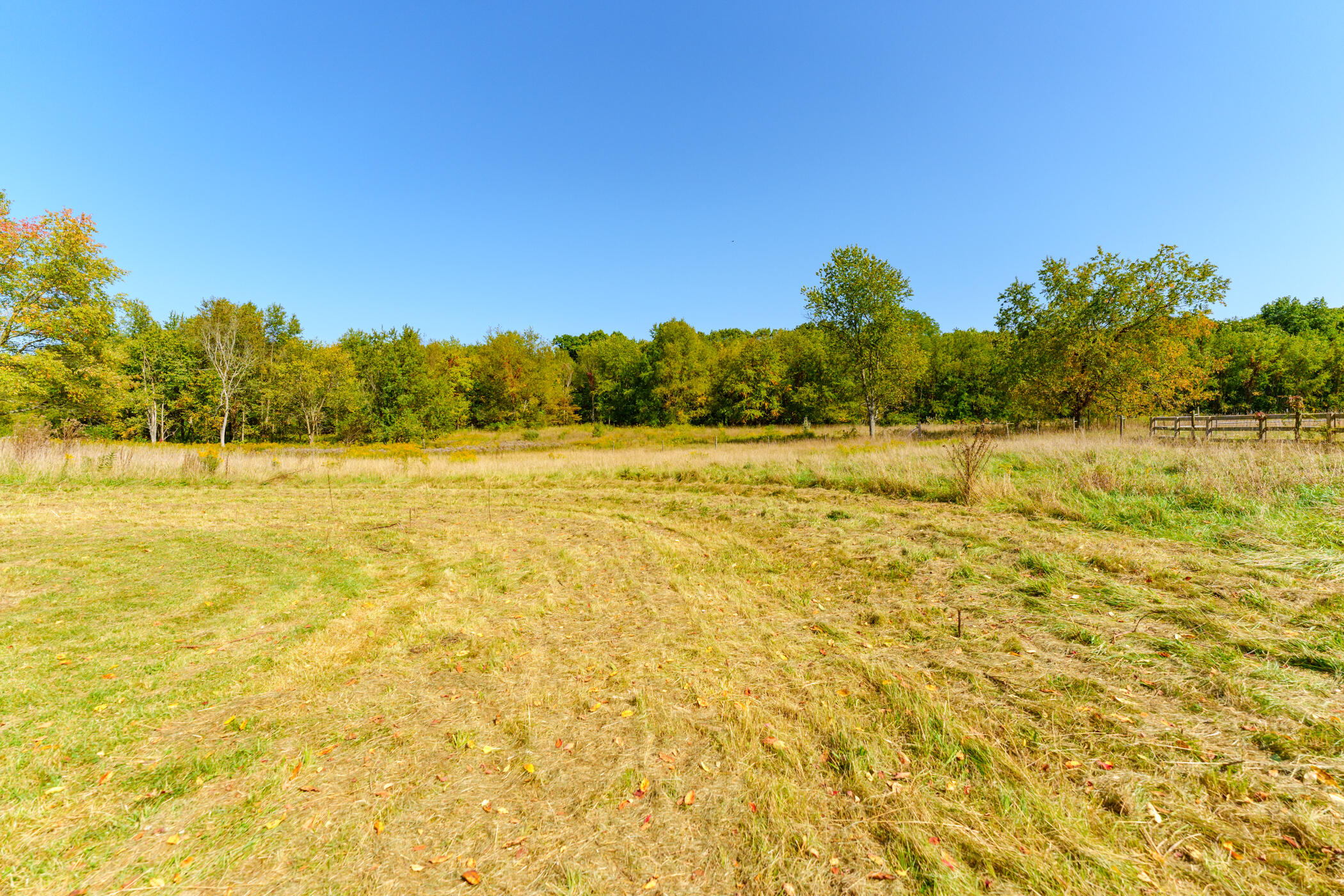 74767 County Road 652 Lawton, MI 49065 - Photo 60 of 65 CR652_74767_Lawton_49065-59