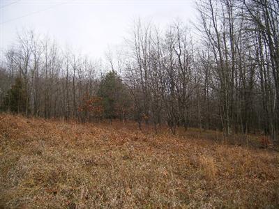 South Fenmore Road, Unit PAR C Brant, MI 48614 - Photo 1 of 5 Primary Photo