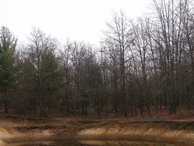 South Fenmore Road, Unit PAR C Brant, MI 48614 - Photo 2 of 5 Additional Photo