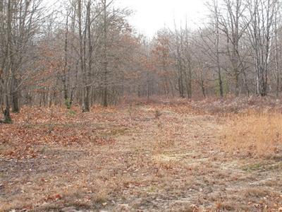 South Fenmore Road, Unit PAR C Brant, MI 48614 - Photo 3 of 5 Additional Photo