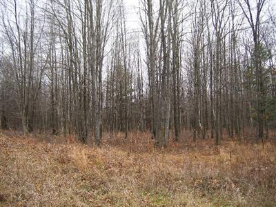 South Fenmore Road, Unit PAR C Brant, MI 48614 - Photo 4 of 5 Additional Photo