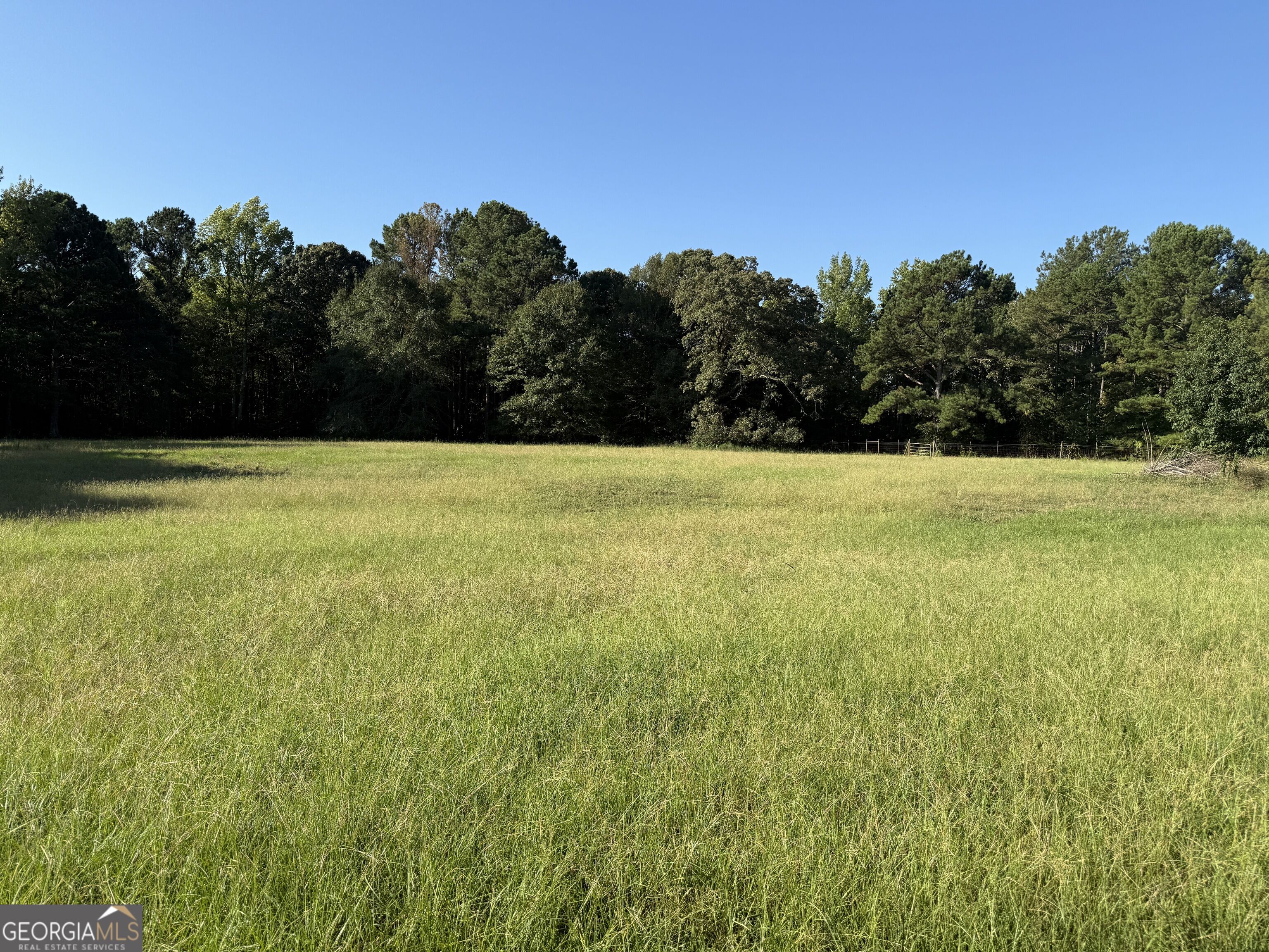 1311 Copeland Road Shiloh, GA 31826 - Photo 70 of 79 Gallery Image 70