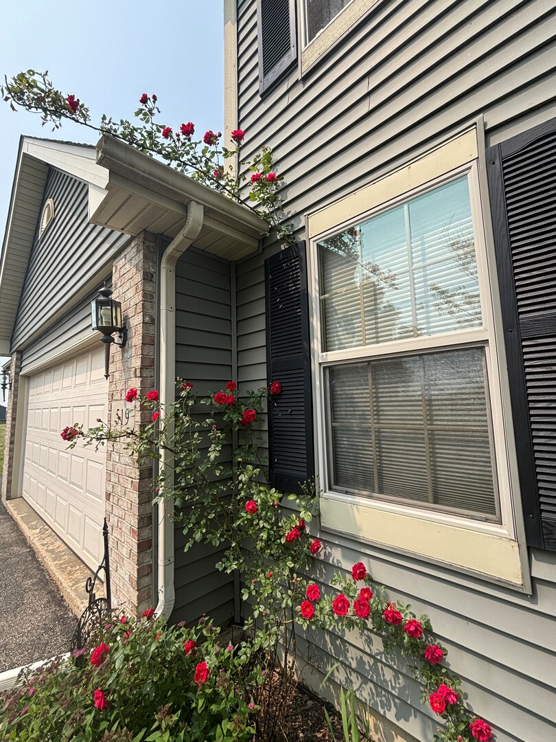 519 South Regulators Street Rochelle, IL 61068 - Photo 19 of 19 a view of a potted flower on the side of a house