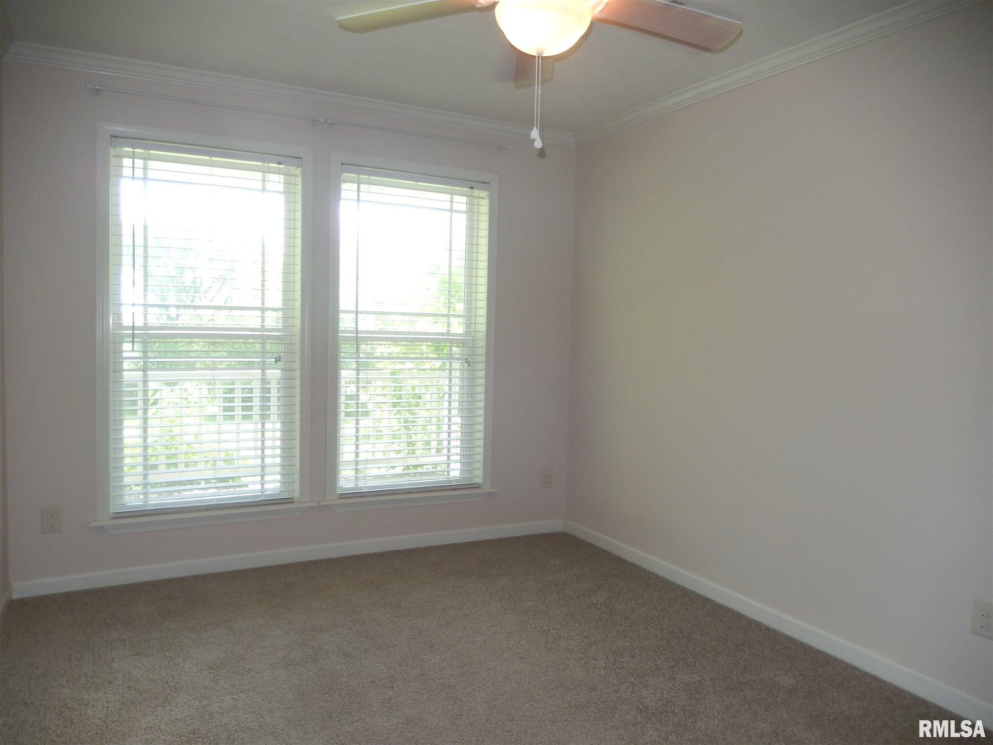 2695 Friendship School Road Anna, IL 62906 - Photo 30 of 45 Gallery Image 30