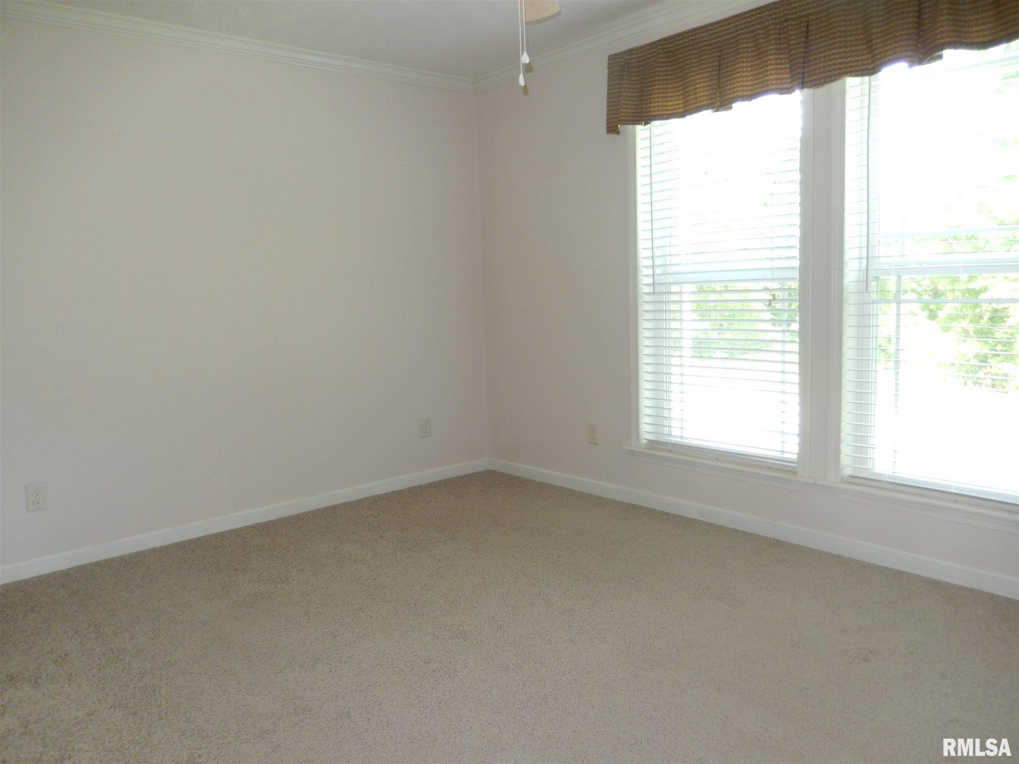 2695 Friendship School Road Anna, IL 62906 - Photo 33 of 45 Gallery Image 33