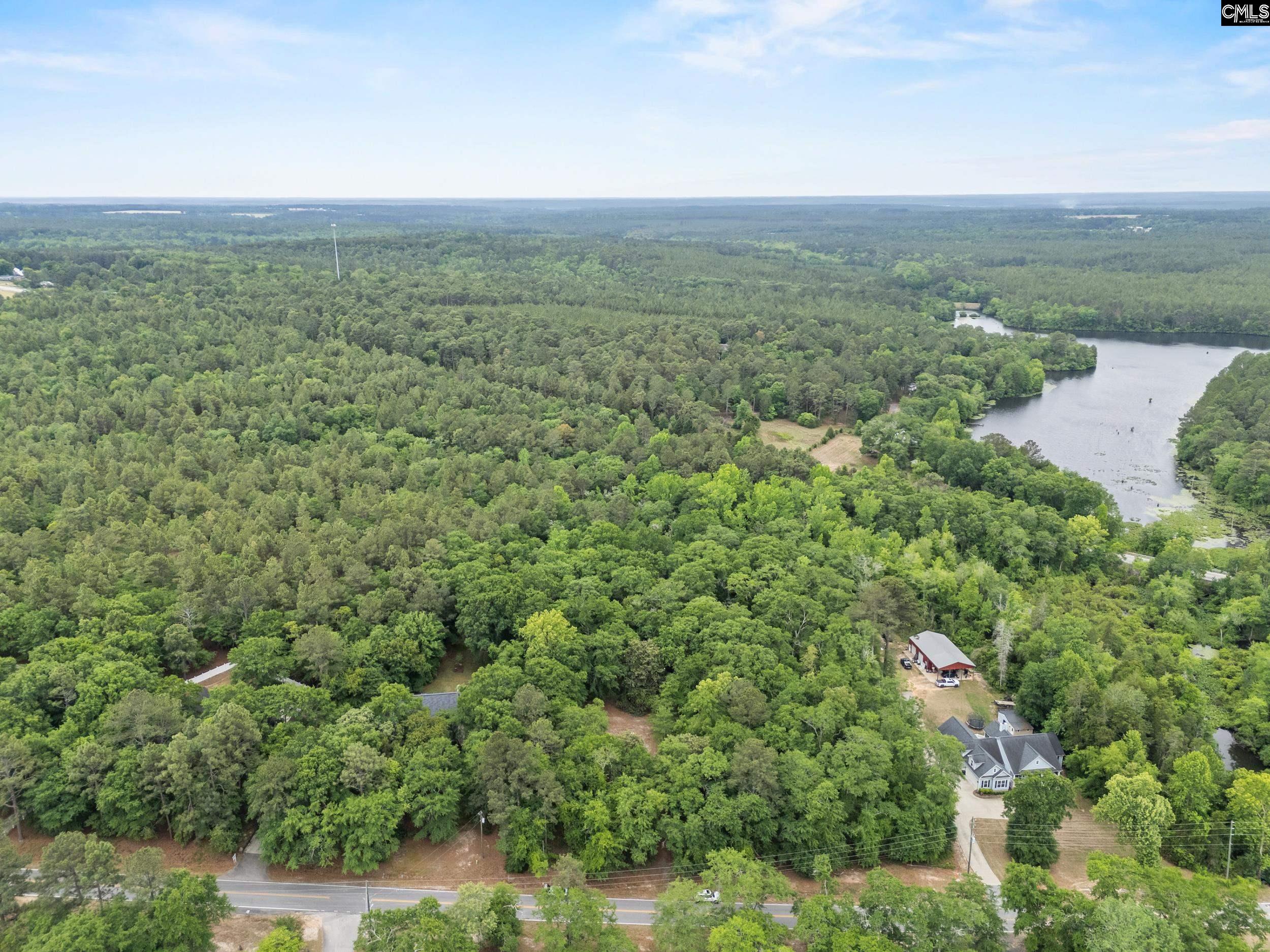 132 Forts Pond Road Pelion, SC 29123 - Photo 54 of 54