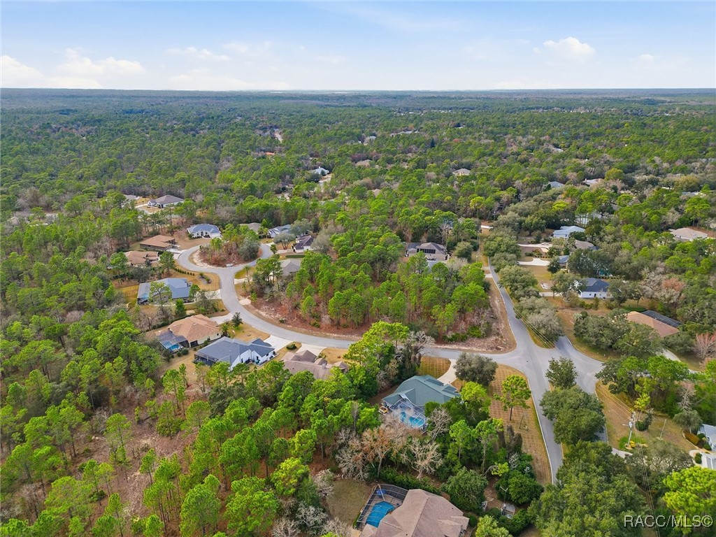 2 Nephthytis Court Homosassa, FL 34446 - Photo 12 of 21