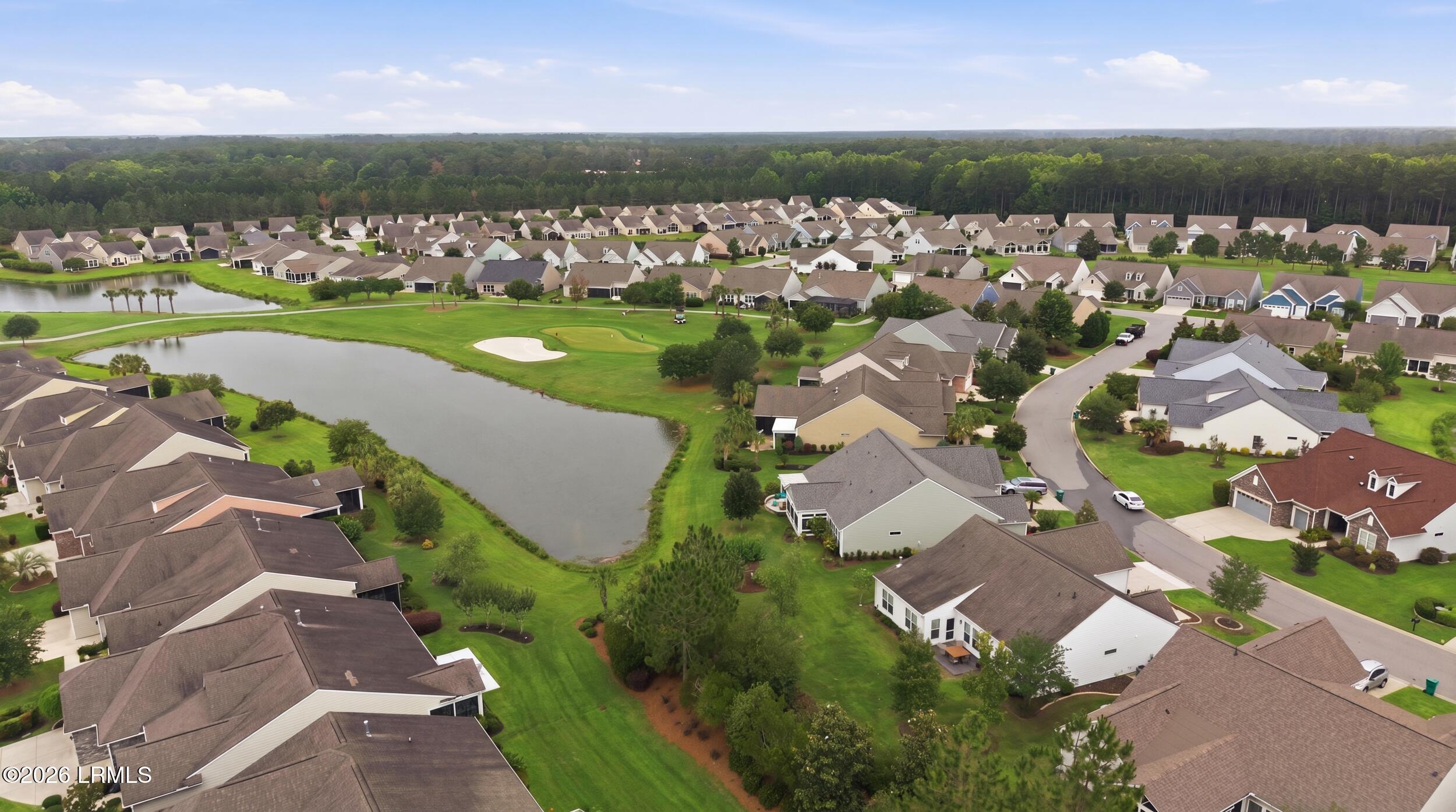 361 Fernleaf Lane Bluffton, SC 29909 - Photo 34 of 47 56_040_dji_20260528124852_0198_d_grass_7