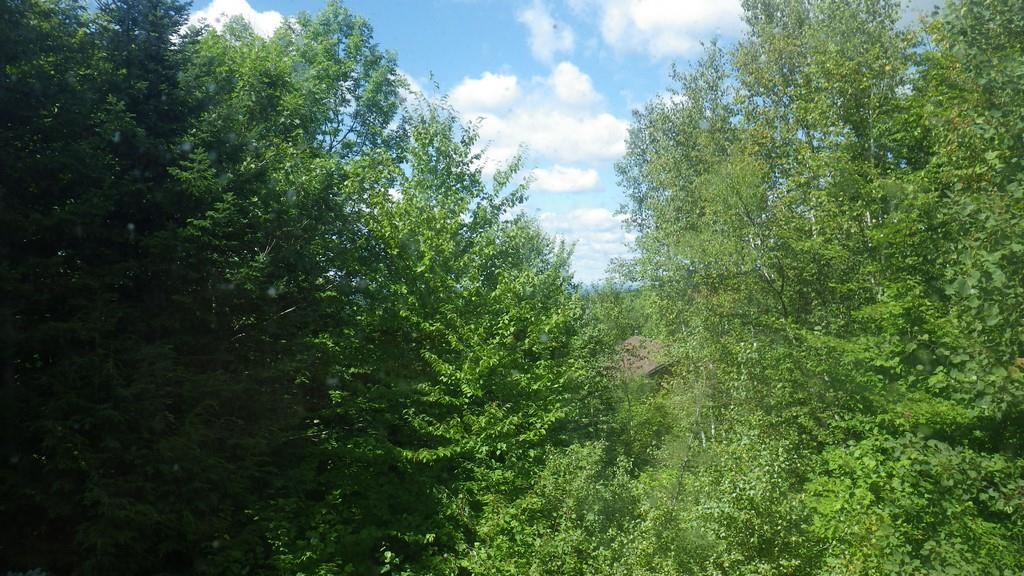 16 Cross Road Greenbush, ME 04418 - Photo 24 of 33 Photo