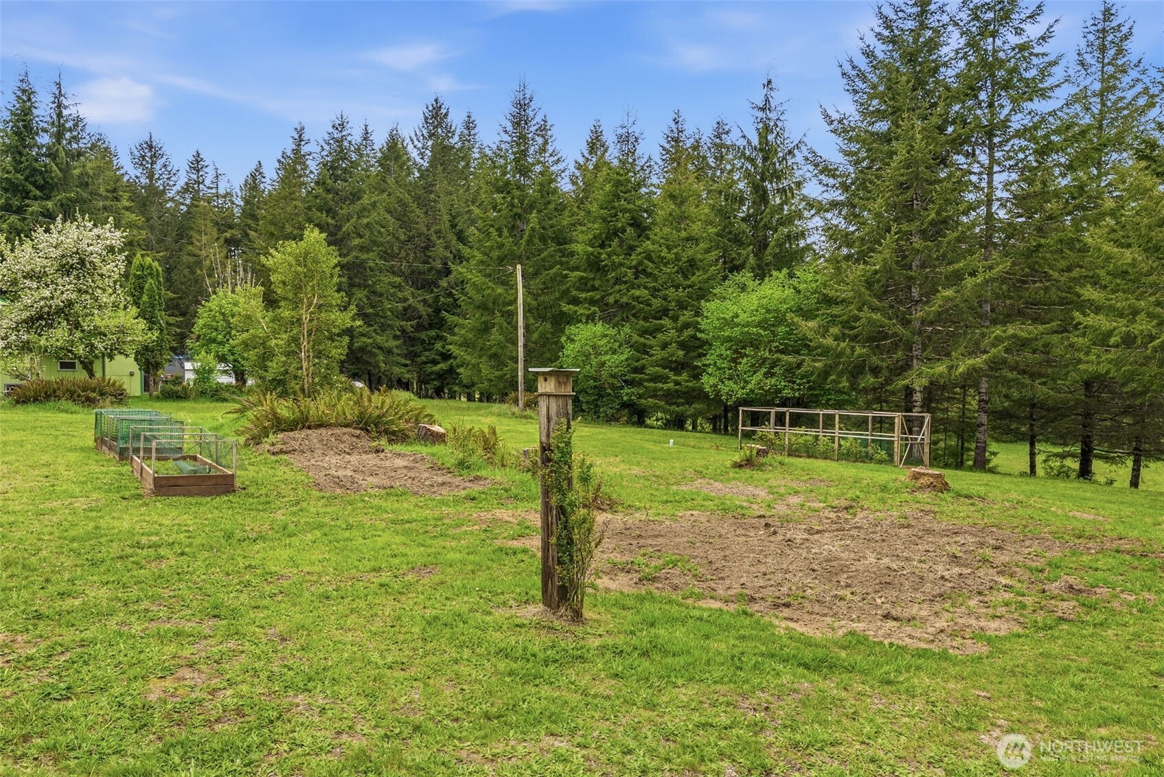 1047 Beaver Creek Road Cathlamet, WA 98612 - Photo 37 of 39 a backyard of a house and trees