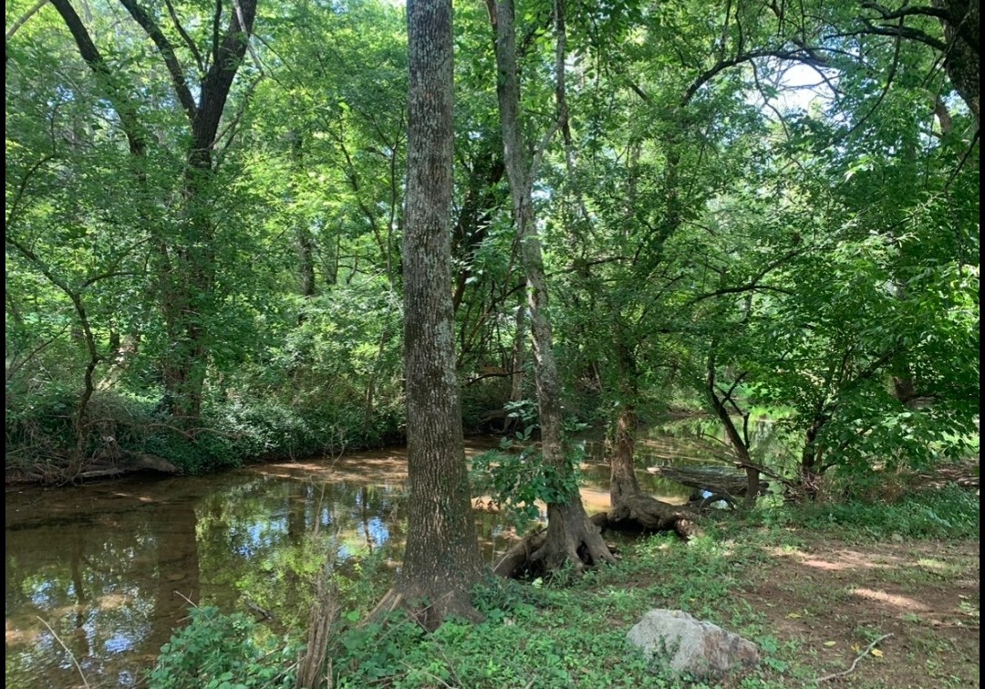 3533 Lakebrook Drive Murfreesboro, TN 37130 - Photo 34 of 42