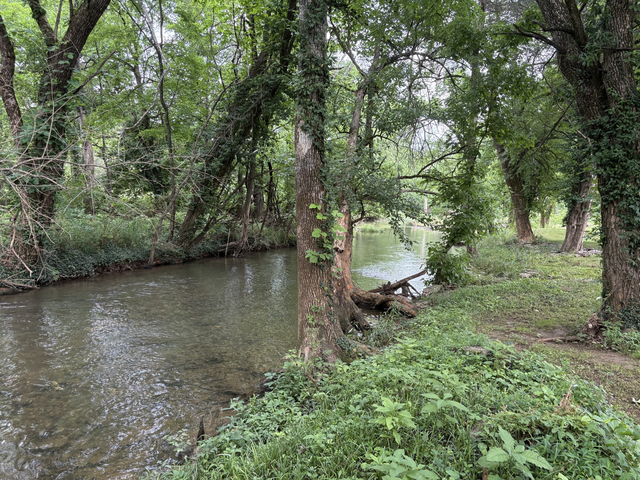 3533 Lakebrook Drive Murfreesboro, TN 37130 - Photo 41 of 42