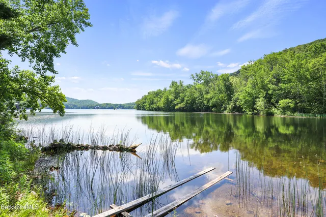 a sign of golf club on a wall under a large tree
