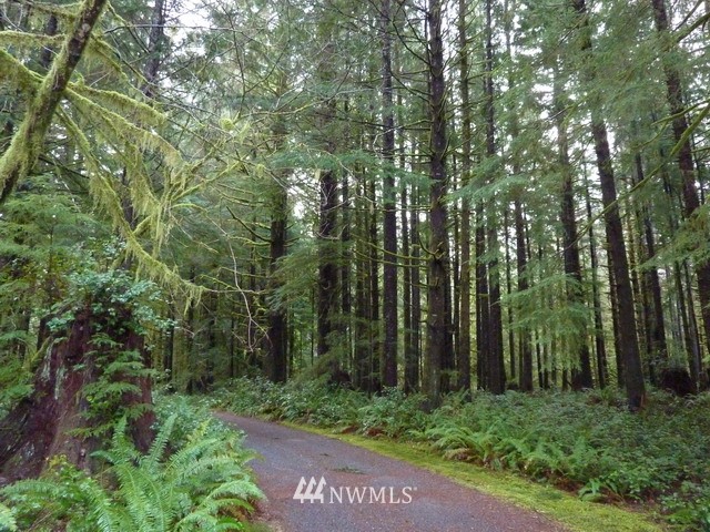 9999 Culprits Prairie Road Forks, WA 98331 - Photo 1 of 1 Gallery Image 1