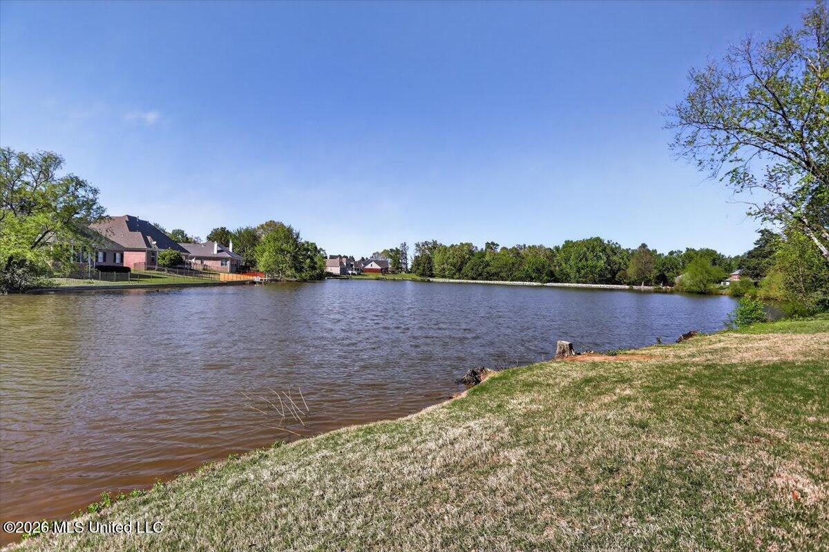 1203 Lake View Drive Hernando, MS 38632 - Photo 41 of 41 40-IMG_4949_50_51_52_53