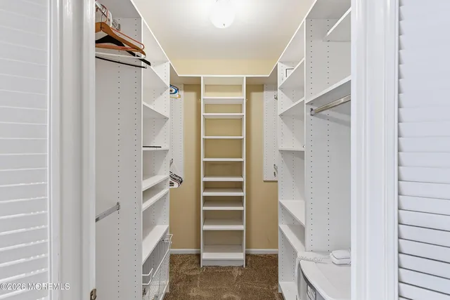 a view of walk in closet with empty racks