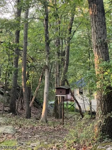 a view of a yard with large trees