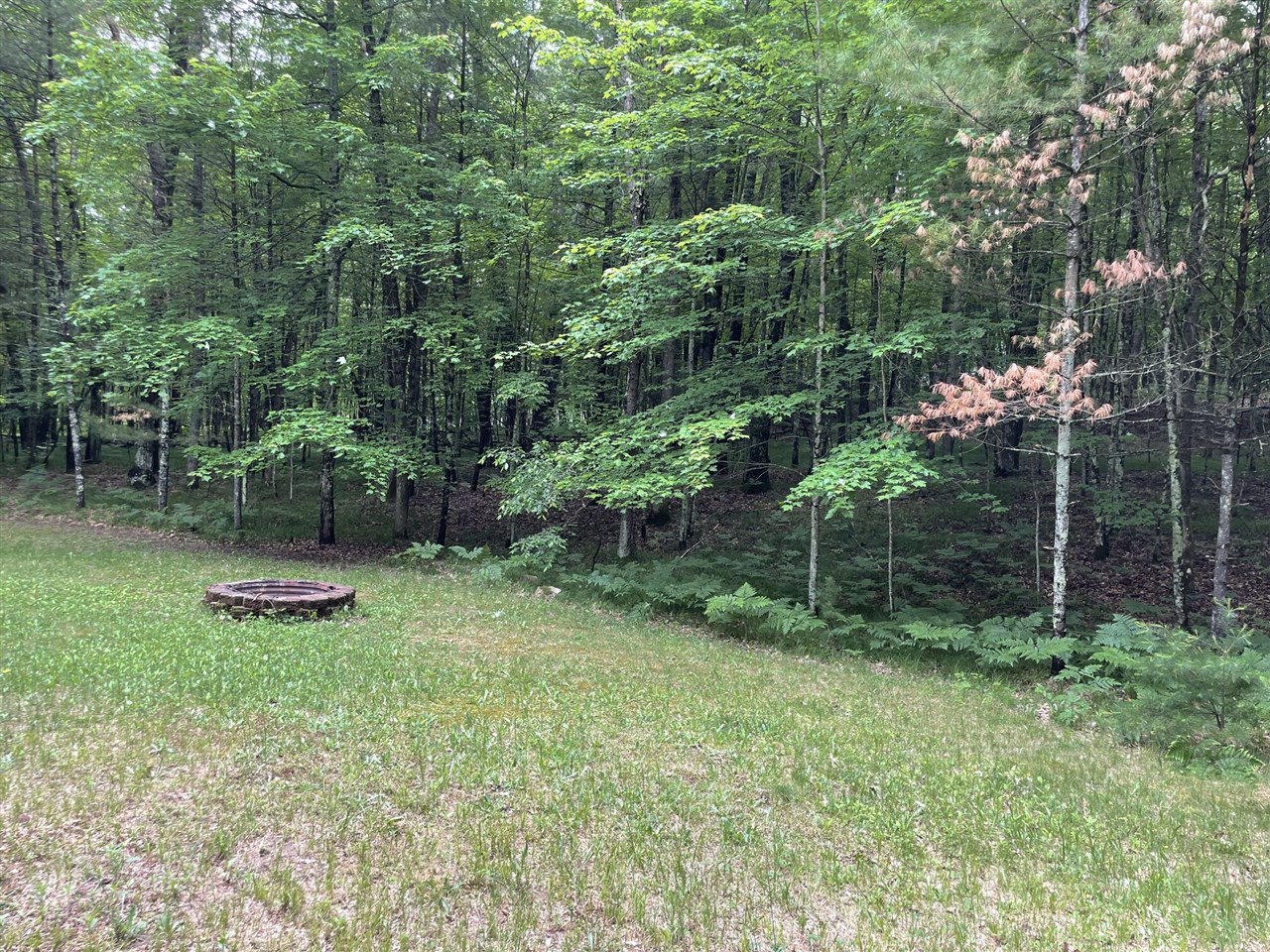 8725 West River Road Irons, MI 49644 - Photo 27 of 37