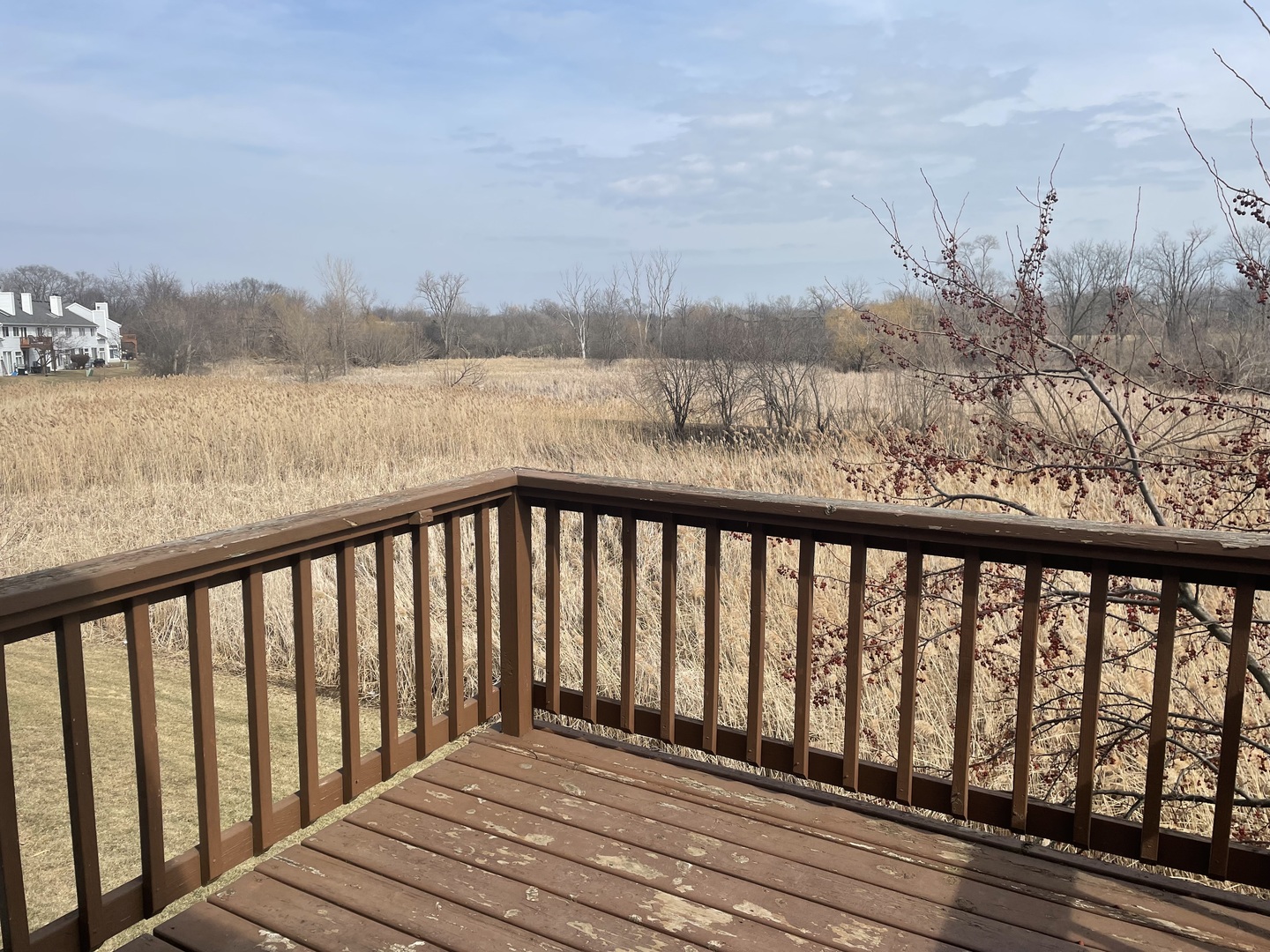 8393 Mystic Darien, IL 60561 - Photo 20 of 21 a balcony with wooden floor and city view