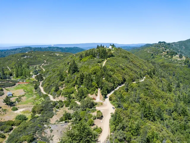 a view of a green field with lots of bushes