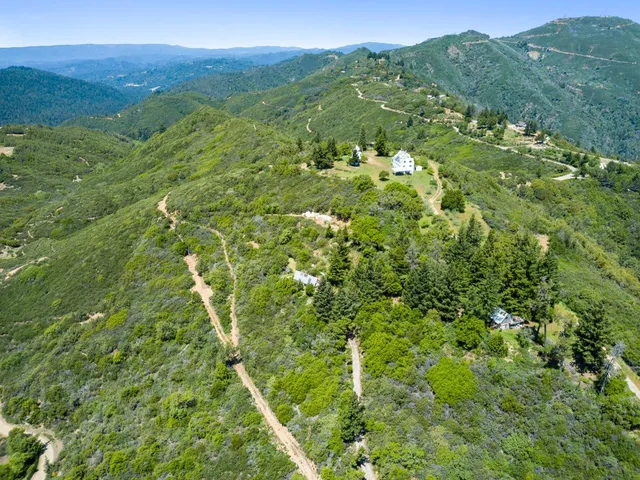 a view of a lush green forest with a mountain