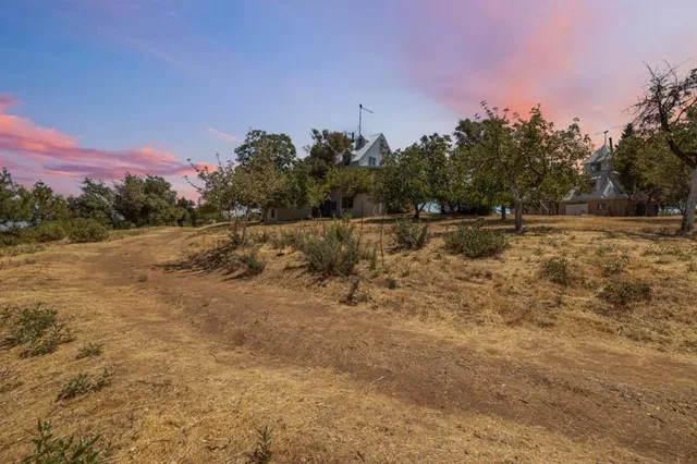 a view of a dry yard with trees