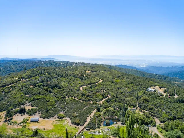 an aerial view of forest