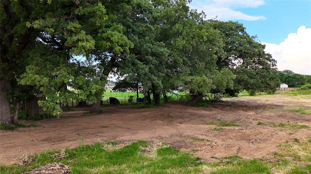 1160 Doss Road Millsap, TX 76066 - Photo 20 of 24 a view of a yard with a tree