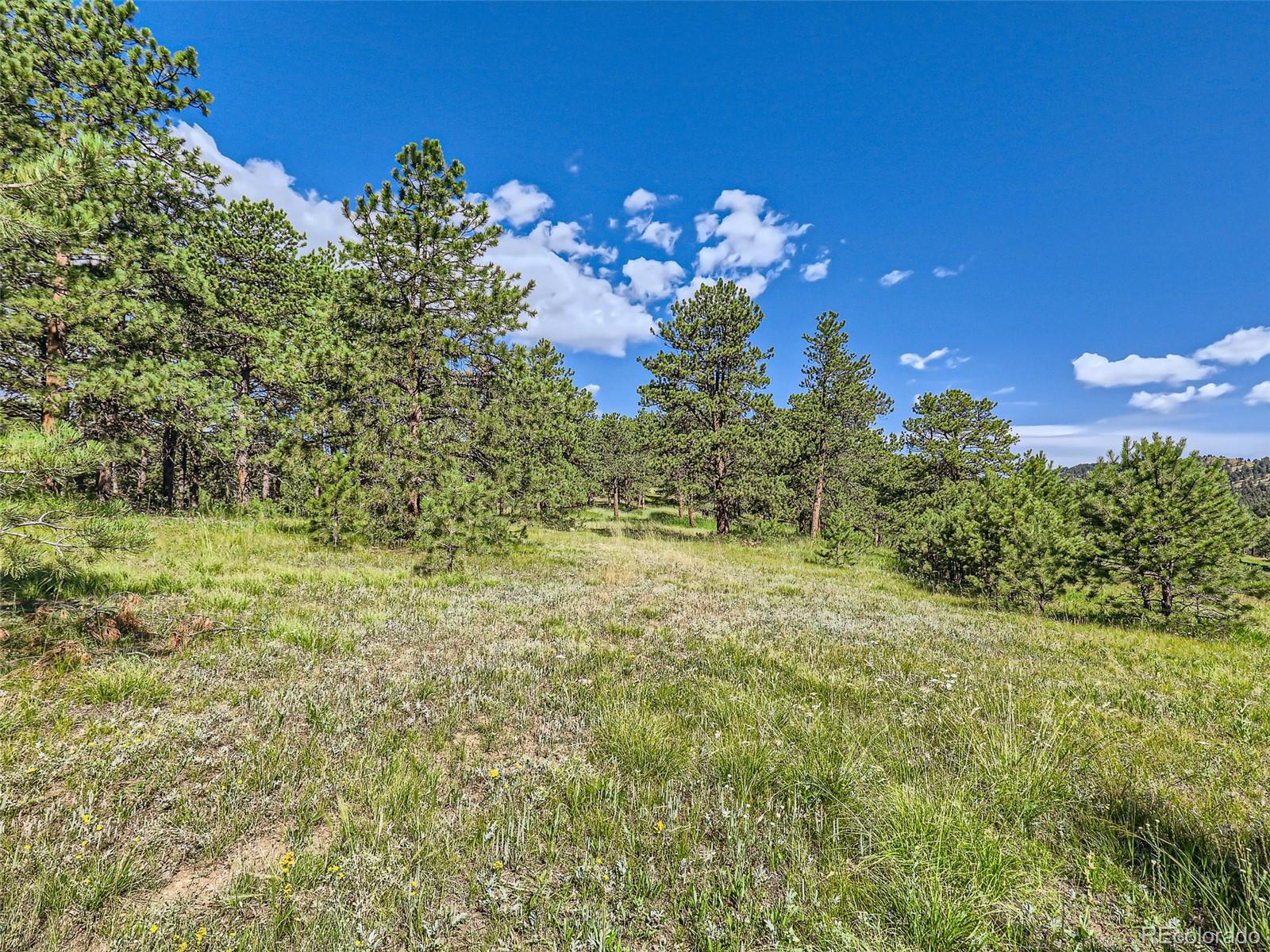 2117 Wieler Road Evergreen, CO 80439 - Photo 17 of 40 Gallery Image 17