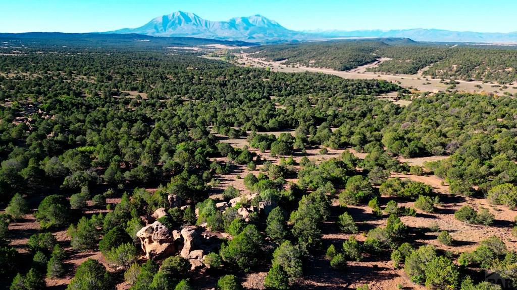 Tbd Bear Creek Road Walsenburg, CO 81089 - Photo 20 of 37
