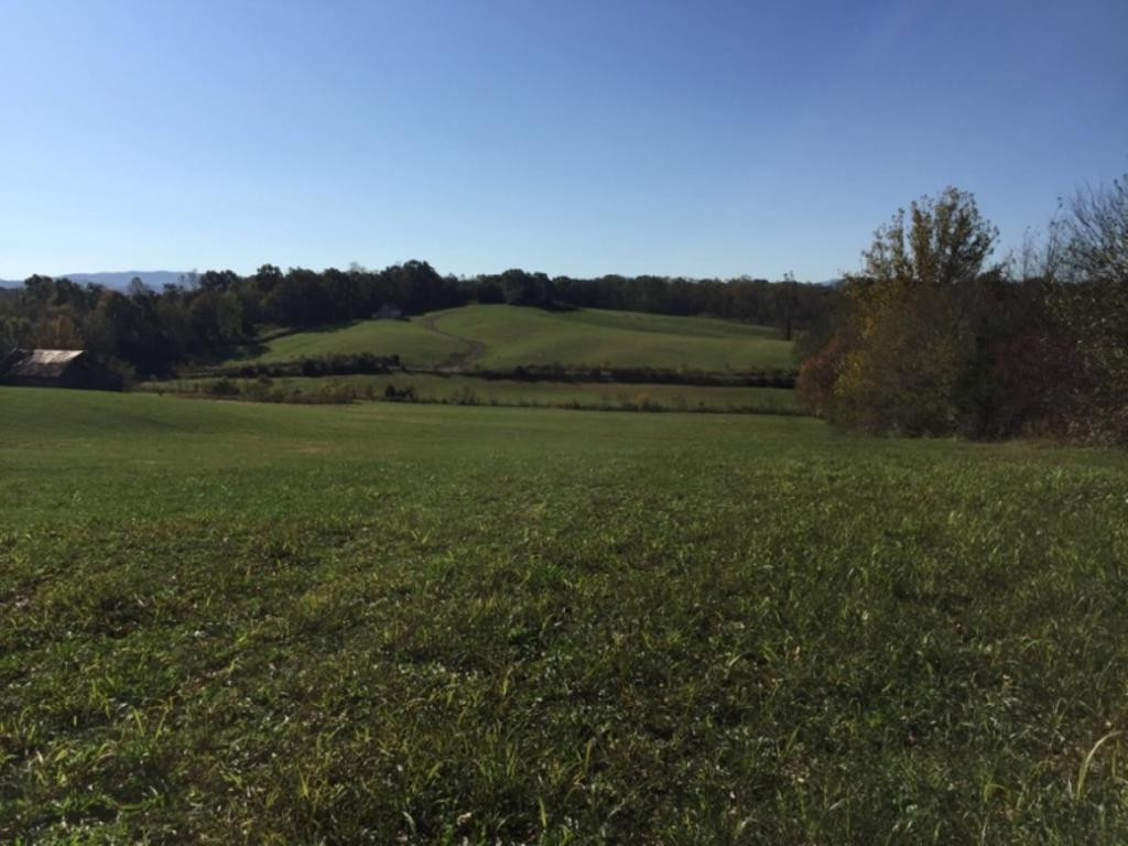 Tbd Browning Road Telford, TN 37690 - Photo 1 of 3 Photo 1